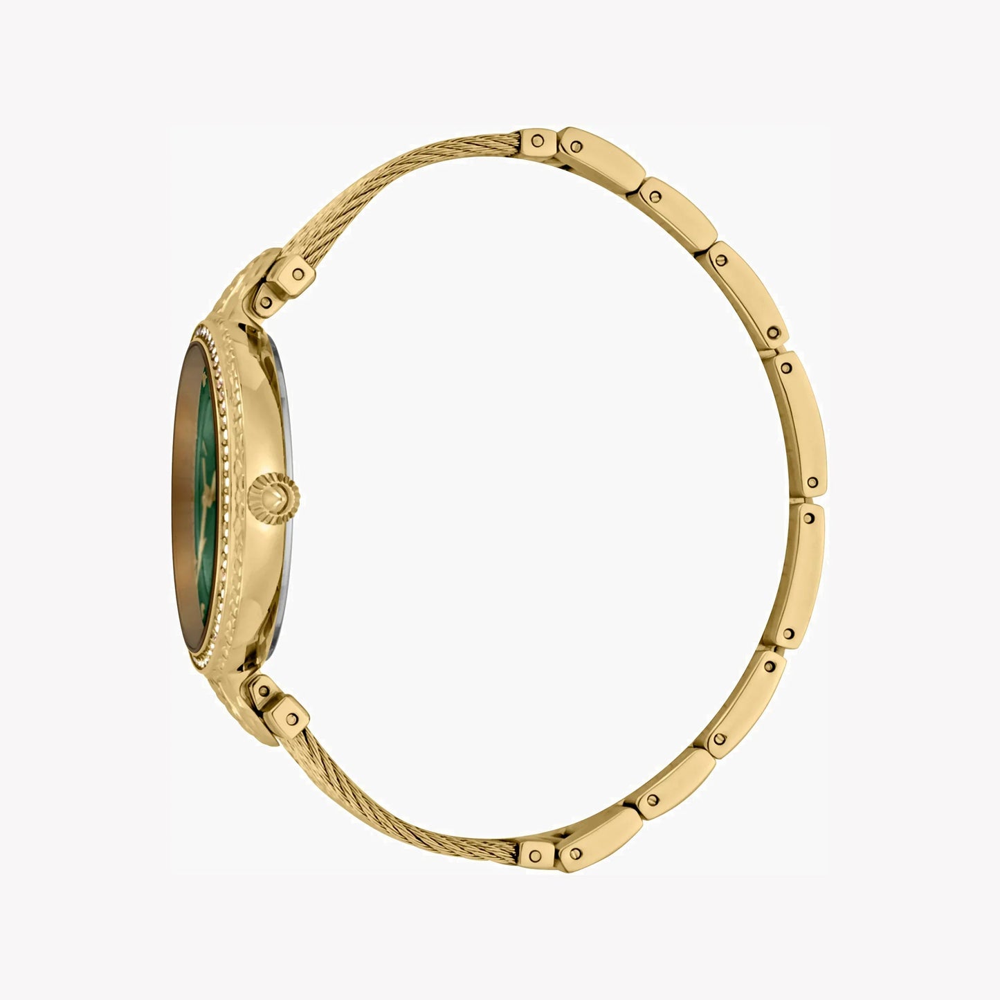 Just Cavalli Women's Gold Watch, Green Mother Of Pearls Dial | Jc1l169m0035